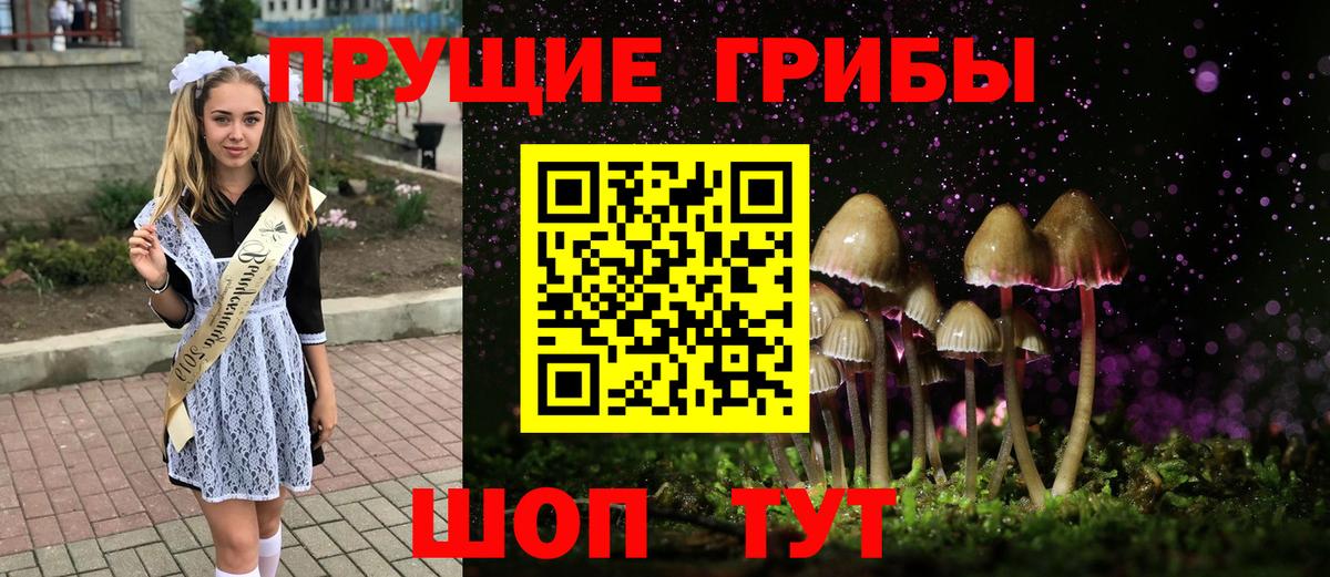 Псилоцибиновые грибы мицелий Щёлково