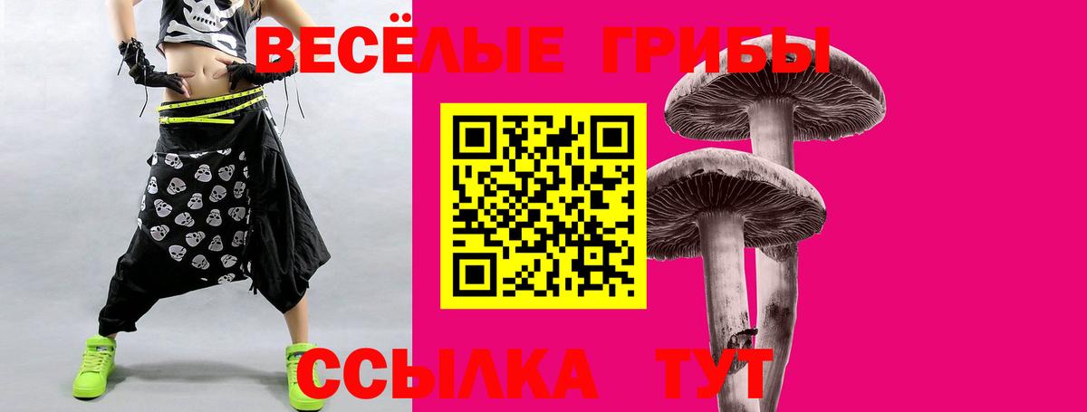 Щёлково  Галлюциногенные грибы мухоморы  Вход с VPN 